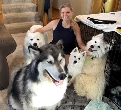 Foster dogs at home